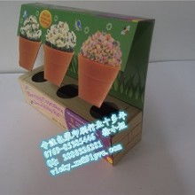 匠心獨運，紙藝生輝 蒼南縣歐微雅工藝禮品廠的創新之路